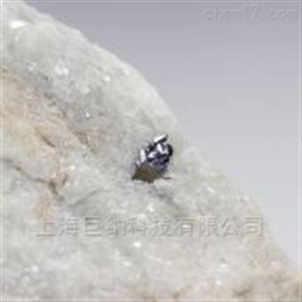 MoS2 大尺寸二硫化钼晶体
