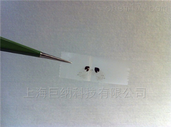 2D Semiconductor氧化石墨烯（美国）