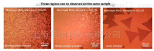 基于二氧化硅衬底的三角形单层二硫化钼