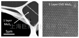 基于蓝宝石衬底的全区域覆盖的单层二硫化钼
