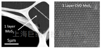基于蓝宝石衬底的全区域覆盖的单层二硫化钼