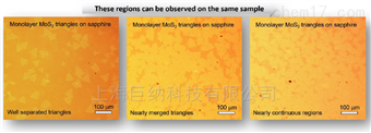 基于蓝宝石衬底的三角形单层二硫化钼
