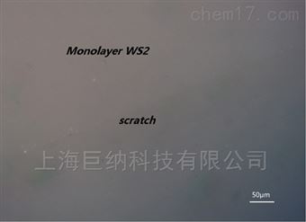 10x10mm（巨纳）单层二硫化钨连续薄膜-衬底可选